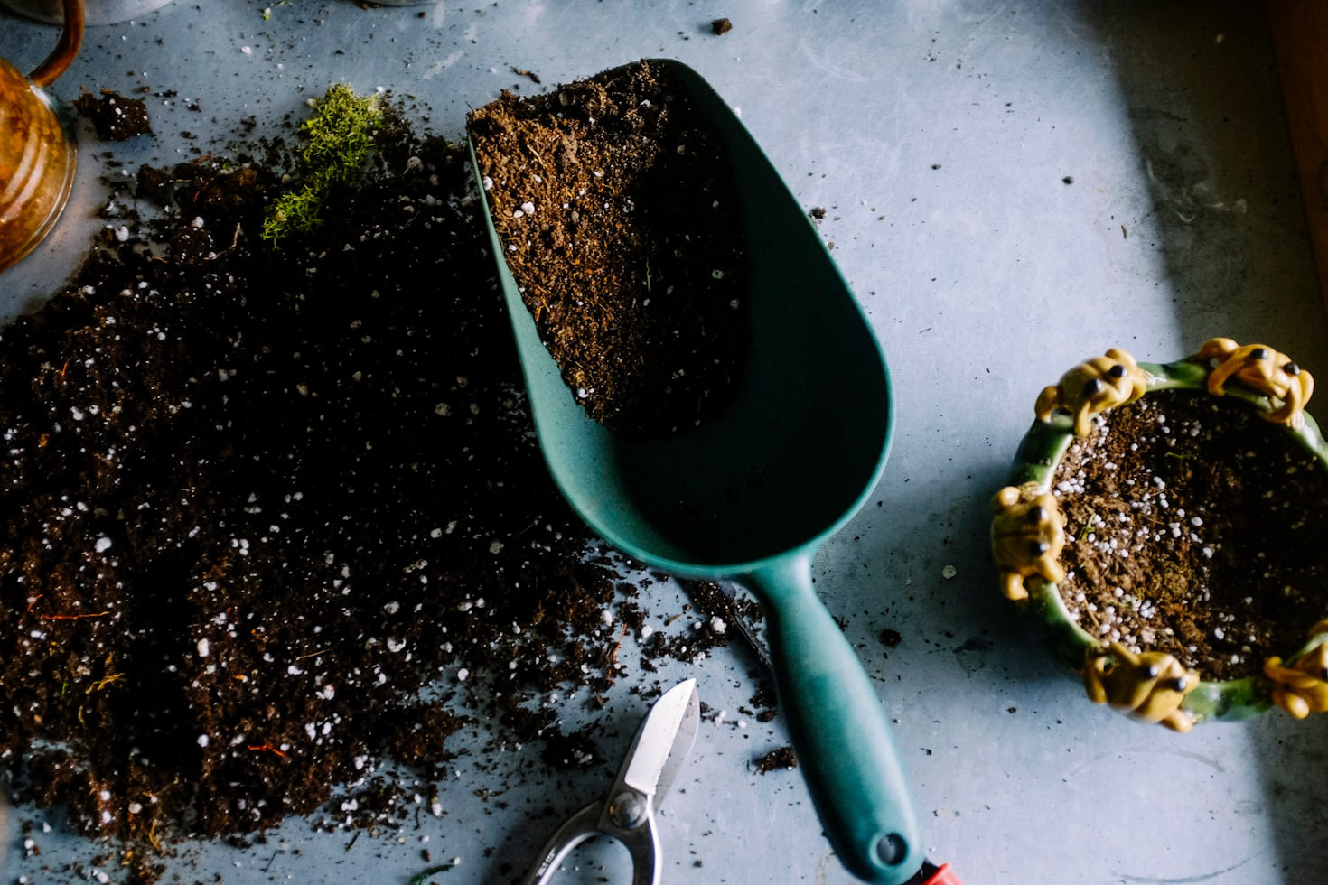 How Homesteading Can Transform Your Lifestyle